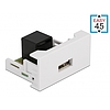 Delock Easy 45 modul A-típusú 2.0 USB anya - RJ45 anya port 22,5 x 45 mm (81344)