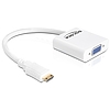 Delock HDMI-mini C adapter, apa  VGA anya (65348)