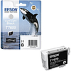 Epson UltraChrome 76 T7609 Light Light Black tintapatron eredeti 25,9ml C13T76094010 Kardszárnyú delfin